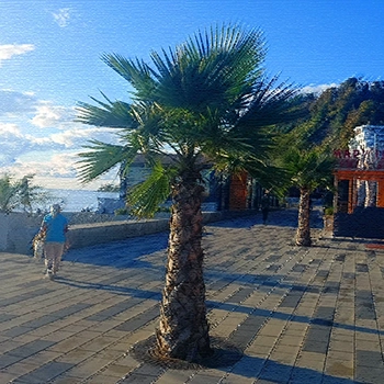 Дагомыс фото