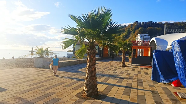 Дагомыс фото