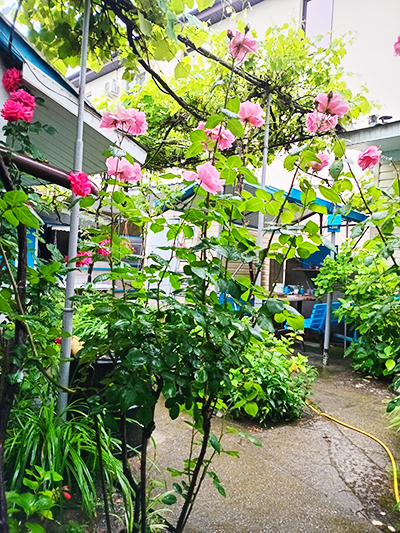 Снять комнату в Дагомысе