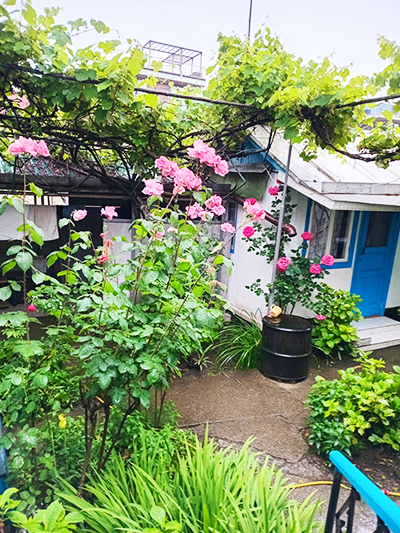 Снять комнату в Дагомысе